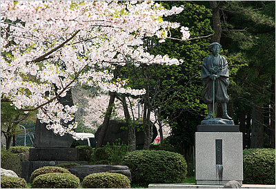 楯山公園の桜と北館大学利長公像