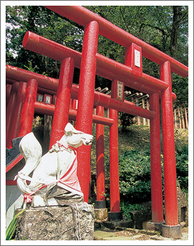 庄内町モデルコース 白狐山光星寺