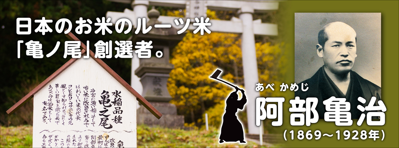 米づくりに情熱を注いだ先人たち。日本のお米のルーツ米「亀ノ尾」創選者　阿部亀治　1869年～1928年