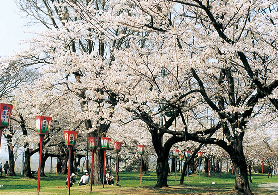 楯山公園