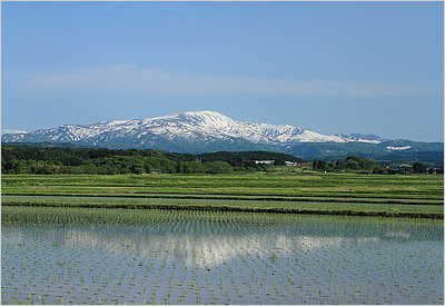 春の月山と庄内平野