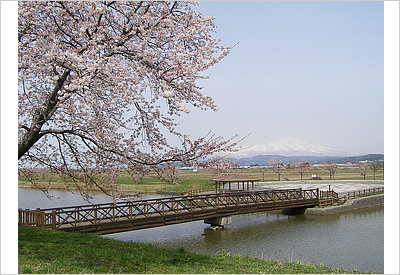 小出沼親水広場