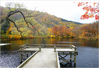 鶴巻池の紅葉