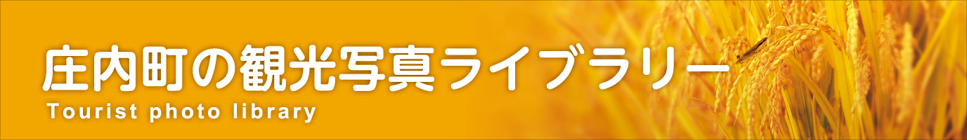 庄内町観光ライブラリー