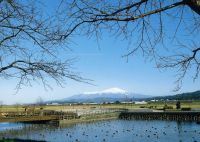 小出沼農村公園